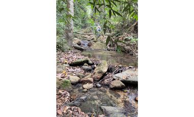 Venta de Lote en Minca, Santa Marta, Ideal para Proyecto Ecológico