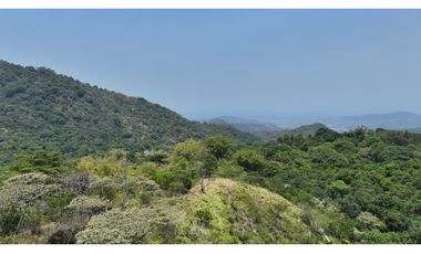 Venta de Lote en Minca, Santa Marta, Ideal para Proyecto Ecológico