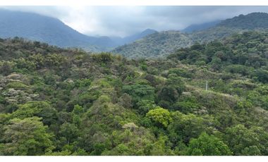 Venta de Lote en Minca, Santa Marta, Ideal para Proyecto Ecológico