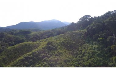 Venta de Lote en Minca, Santa Marta, Ideal para Proyecto Ecológico