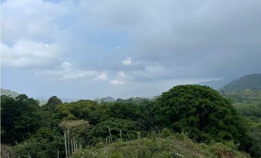 Venta de Lote en Minca, Santa Marta, Ideal para Proyecto Ecológico