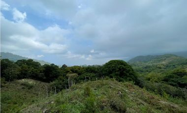 Venta de Lote en Minca, Santa Marta, Ideal para Proyecto Ecológico