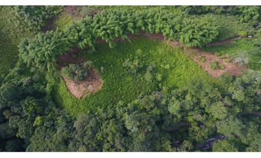 Venta de Lote en Minca, Santa Marta, Ideal para Proyecto Ecológico