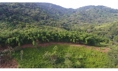Venta de Lote en Minca, Santa Marta, Ideal para Proyecto Ecológico