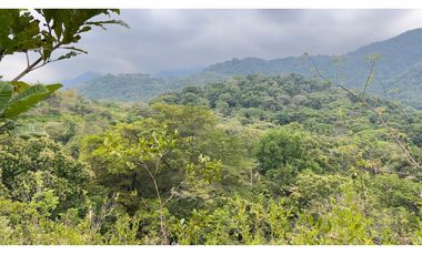 Venta de Lote en Minca, Santa Marta, Ideal para Proyecto Ecológico
