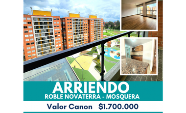 ROBLE NOVATERRA ARRIENDO PISO 11