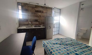 Propiedad en renta colonia San Carlos León Guanajuato