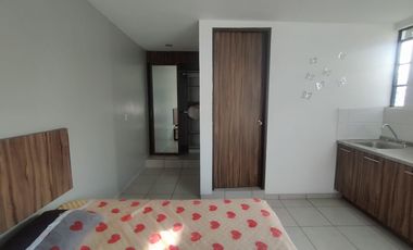 Propiedad en renta colonia San Carlos León Guanajuato