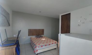 Propiedad en renta colonia San Carlos León Guanajuato