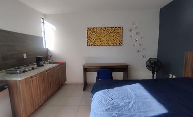 Propiedad en renta colonia San Carlos León Guanajuato