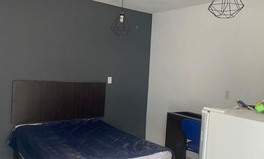 Propiedad en renta colonia San Carlos León Guanajuato