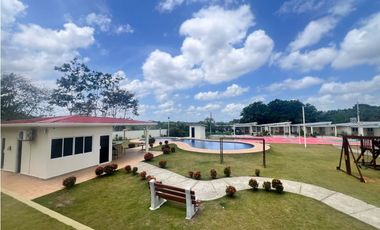 Vive el Sueño en PH Primavera Premium Tu Refugio Familiar vista alegre