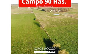 Campo en venta en Ranchos. 90 Has. mixto