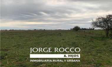Campo en venta en Ranchos. 90 Has. mixto