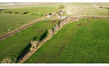 Campo en venta en Ranchos. 90 Has. mixto