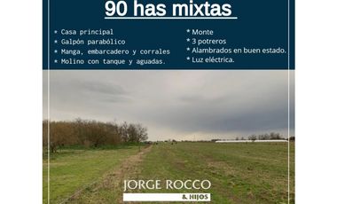 Campo en venta en Ranchos. 90 Has. mixto