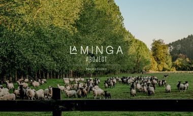 Sitio en Venta en Paraguay Chico