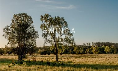 Sitio en Venta en Paraguay Chico