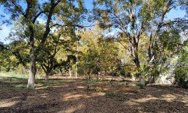 TERRENO EN VENTA EN COLONIA INDIPENDENCIA PARRAS DE LA FUENTE, COAHUILA.