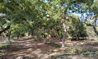 TERRENO EN VENTA EN COLONIA INDIPENDENCIA PARRAS DE LA FUENTE, COAHUILA.