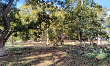 TERRENO EN VENTA EN COLONIA INDIPENDENCIA PARRAS DE LA FUENTE, COAHUILA.