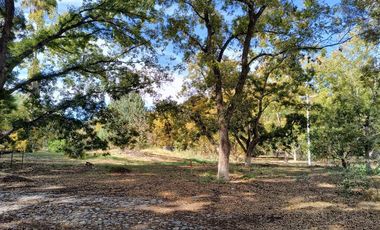 TERRENO EN VENTA EN COLONIA INDIPENDENCIA PARRAS DE LA FUENTE, COAHUILA.