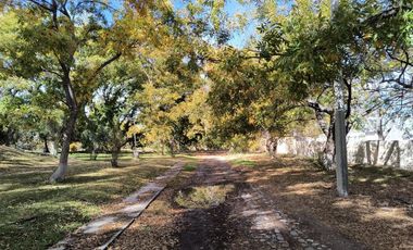 TERRENO EN VENTA EN COLONIA INDIPENDENCIA PARRAS DE LA FUENTE, COAHUILA.