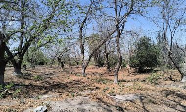 TERRENO EN VENTA EN COLONIA GALERAS DE PATRIA, PARRAS DE LA FUENTE, COAHUILA.
