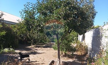 Casa en Bollenar  5D 2B 154/1031m2. Conversable