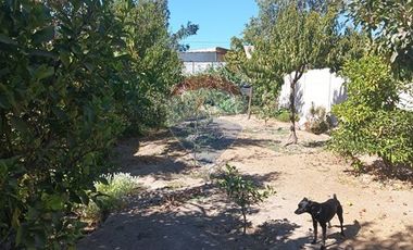 Casa en Bollenar  5D 2B 154/1031m2. Conversable