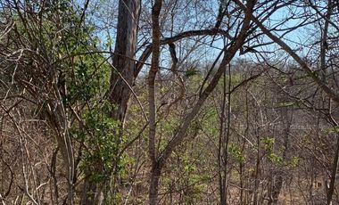 Terreno en Venta Residencial Conejos