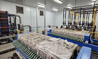 Planta farmacéutica en Venta