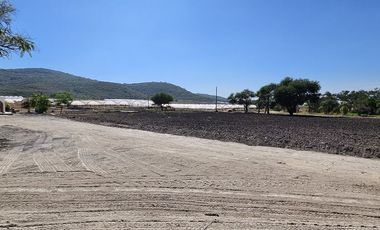 Planta farmacéutica en Venta