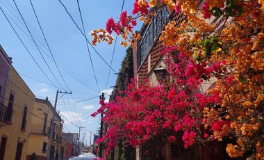 Gran oportunidad de preventa en el centro de Tequisquiapan (1491)