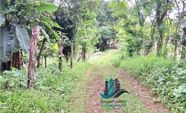 VENDO CASA Y LOTE DE 1508M2 PRECIO NEGOCIABLE