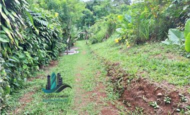 VENDO CASA Y LOTE DE 1508M2 PRECIO NEGOCIABLE