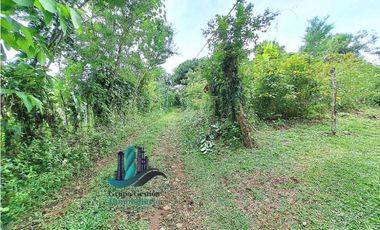 VENDO CASA Y LOTE DE 1508M2 PRECIO NEGOCIABLE