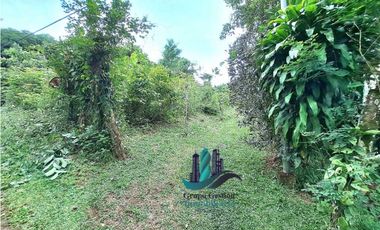 VENDO CASA Y LOTE DE 1508M2 PRECIO NEGOCIABLE