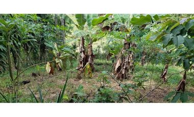 VENDO CASA Y LOTE DE 1508M2 PRECIO NEGOCIABLE