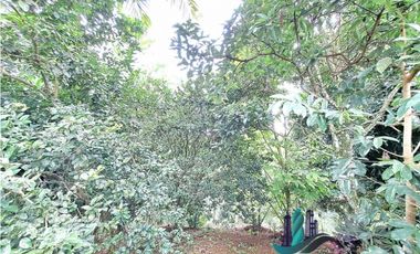 VENDO CASA Y LOTE DE 1508M2 PRECIO NEGOCIABLE