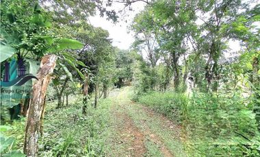 VENDO CASA Y LOTE DE 1508M2 PRECIO NEGOCIABLE