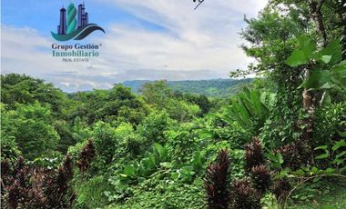 VENDO CASA Y LOTE DE 1508M2 PRECIO NEGOCIABLE