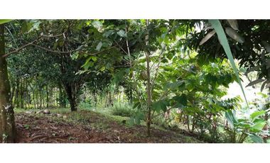 VENDO CASA Y LOTE DE 1508M2 PRECIO NEGOCIABLE