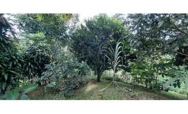 VENDO CASA Y LOTE DE 1508M2 PRECIO NEGOCIABLE