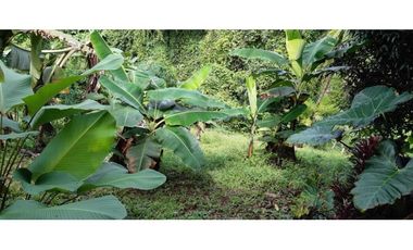 VENDO CASA Y LOTE DE 1508M2 PRECIO NEGOCIABLE