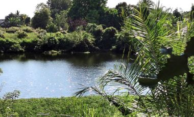 5 Bedroom Villa for sale in Tha Bo, Nong Khai