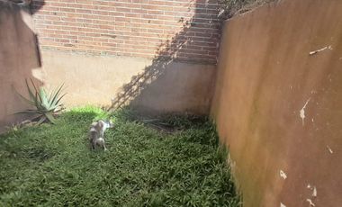 Triplex de 4 amb, con cochera y patio