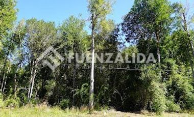 Parcela en Venta en A 4 minutos de Nueva Braunau