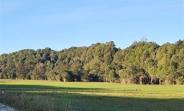 Parcela en Venta en Paraguay Grande