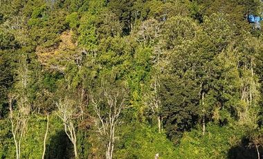 Parcela en Venta en Paraguay Grande